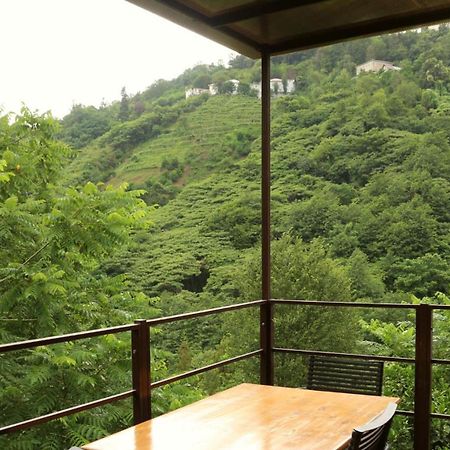 Modular House Green Zyland Y Batumi Ngoại thất bức ảnh