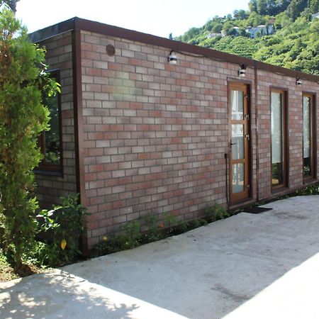 Modular House Green Zyland Y Batumi Ngoại thất bức ảnh