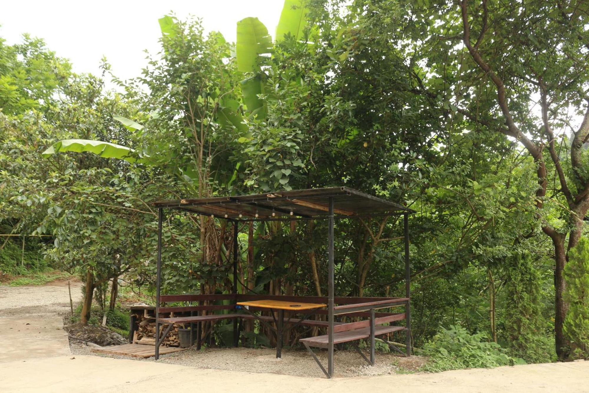 Modular House Green Zyland Y Batumi Ngoại thất bức ảnh